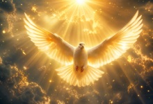 Cinematic divine white