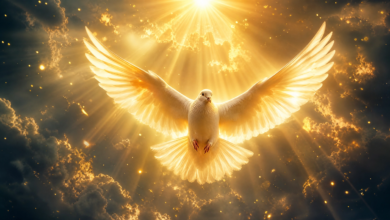 Cinematic divine white